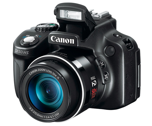 Bridge Garden Picture Bridge Digital Camera