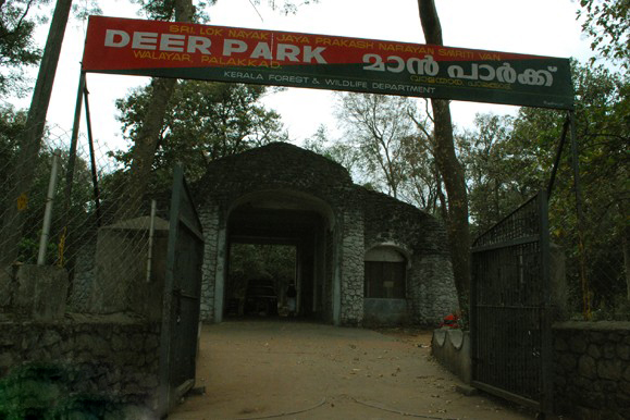 JP Smirthivanam and Deer Park