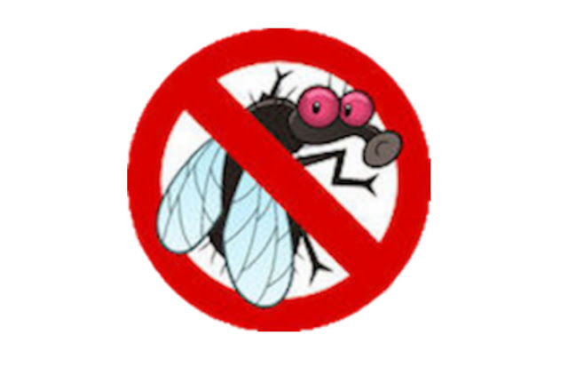 Natural Home Remedies For Flies Natural Home Remedies For Flies
