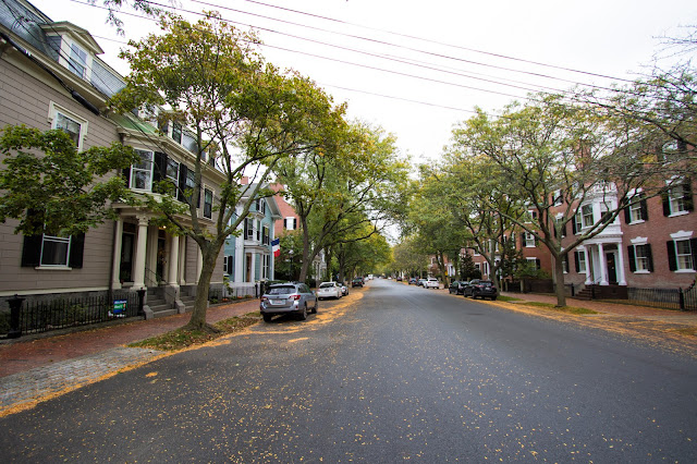 Chestnut street-Salem