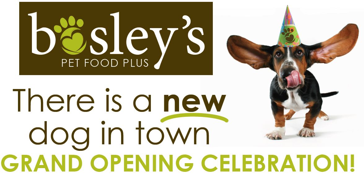 Port Alberni, B.C. Hammer's Bulldog and Bombers Blog Dogs host