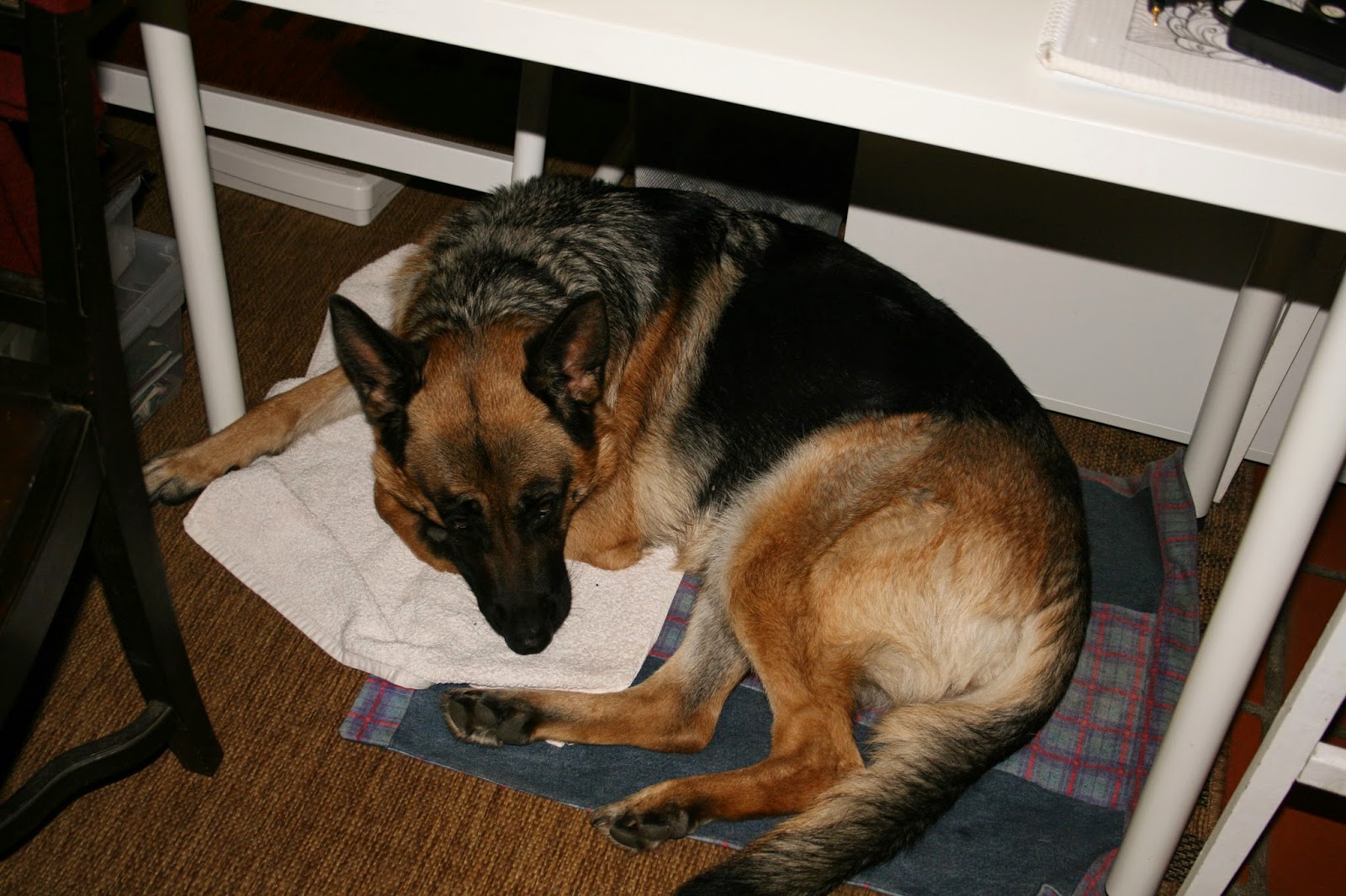 naehyoga nächtlicher Nachschlag