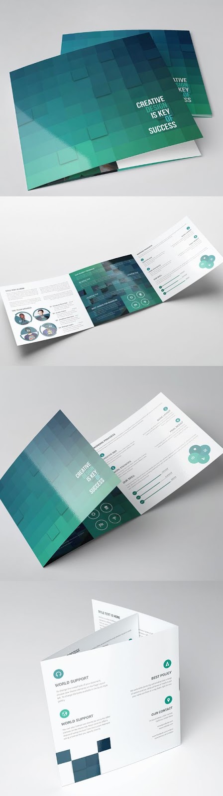 thiết kế brochure giá rẻ