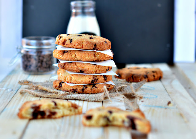 Sugar free chocolate chip cookies - Hall of Fame Recipes