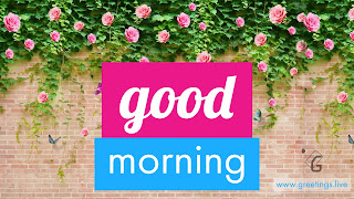Unique good morning wishes with flowers wall