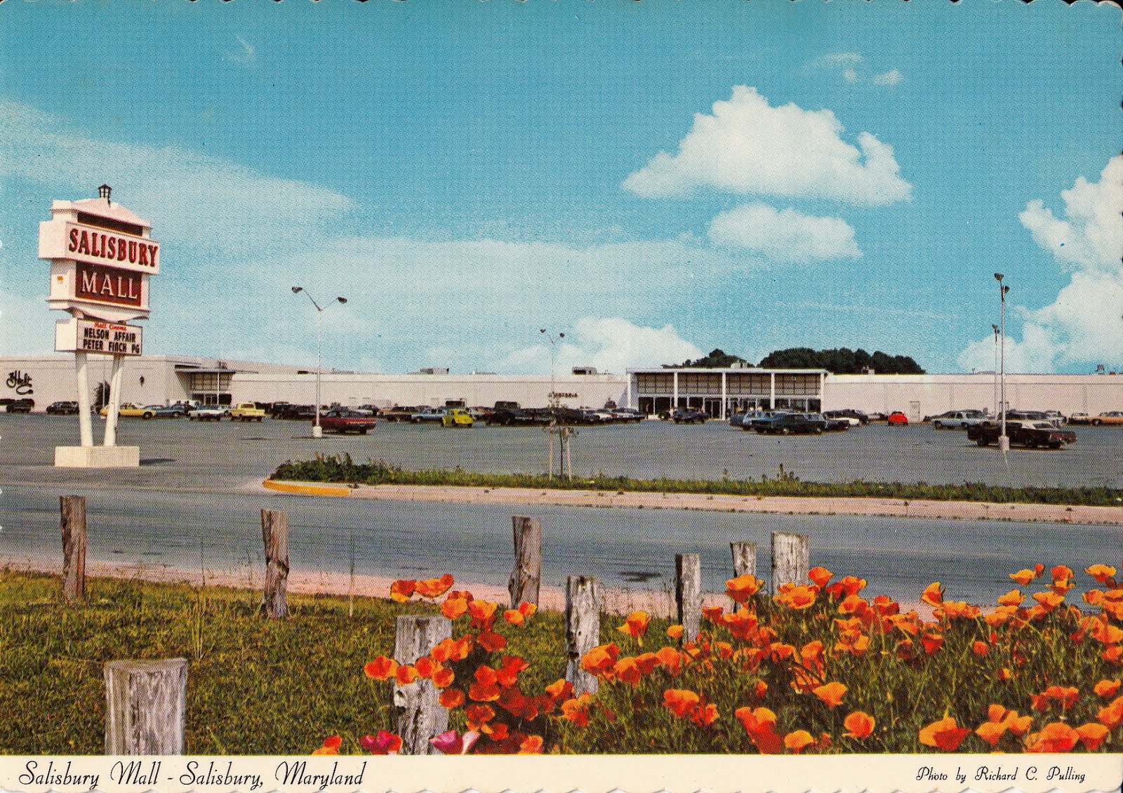 The Salisbury Mall Archive