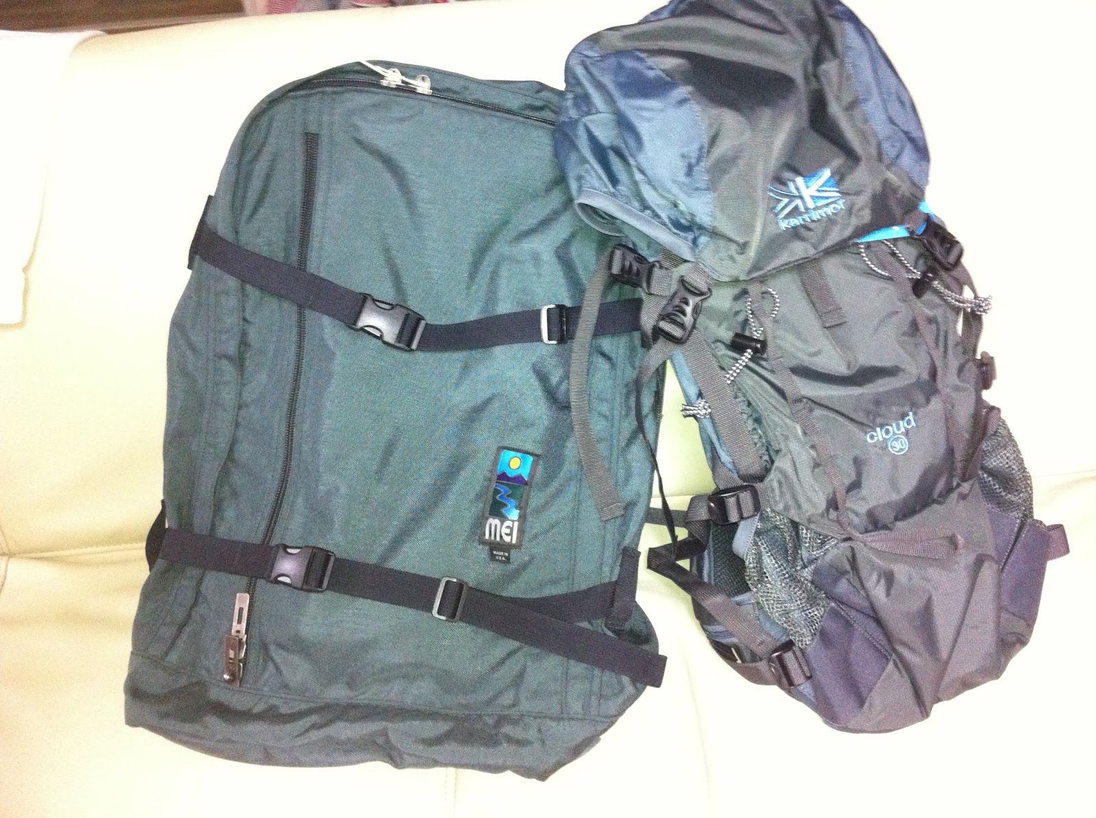 backpacks similar to everlane