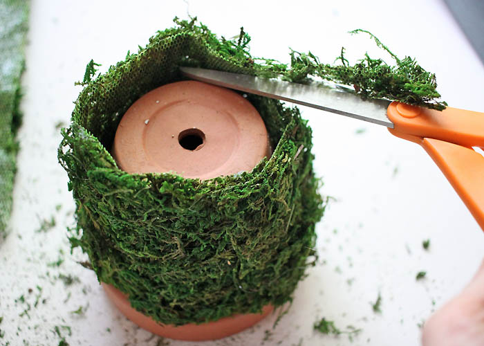 DIY Moss Covered Flower Pot Gina Michele