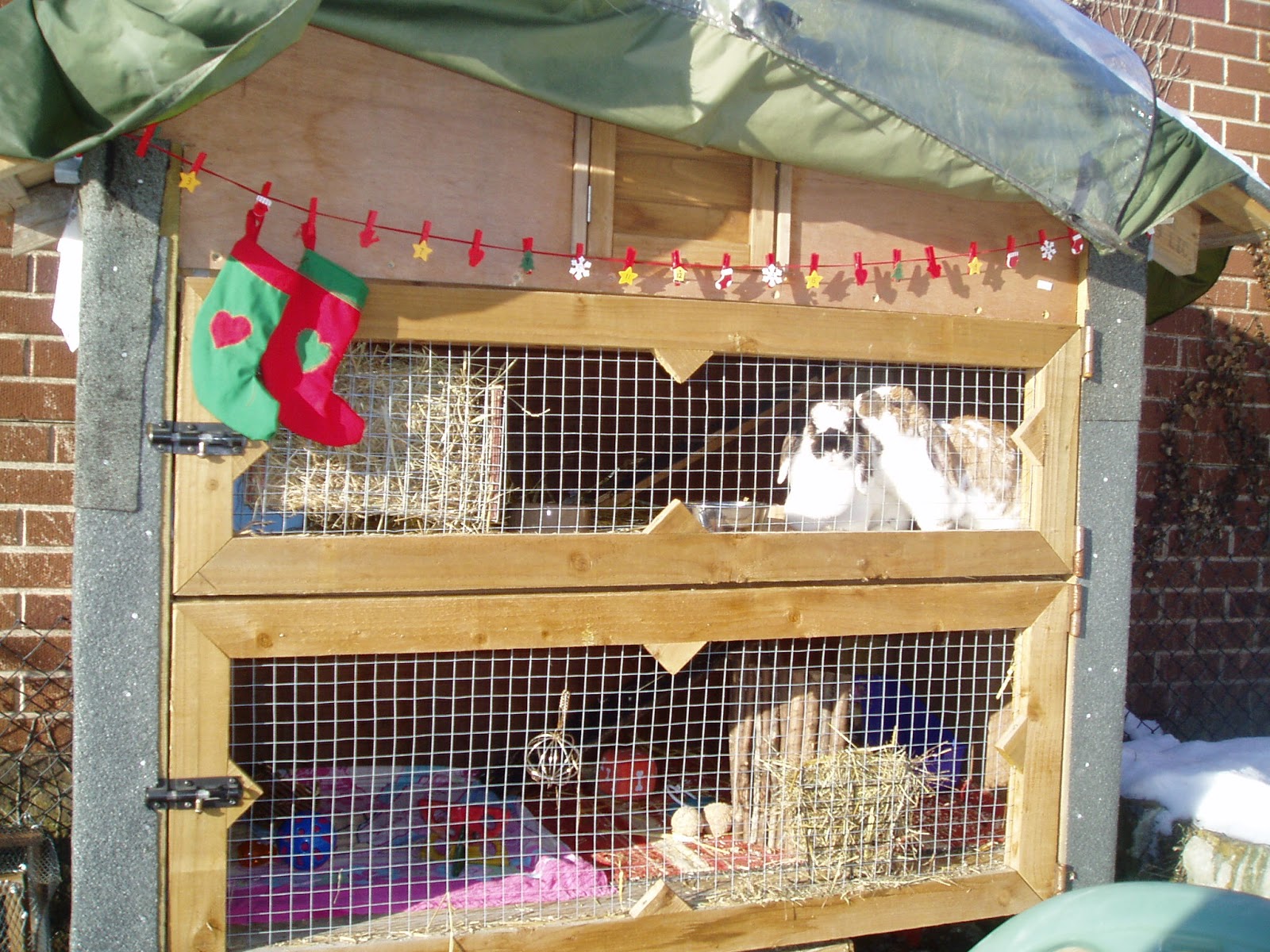 sukilii blog keeping the rabbits warm