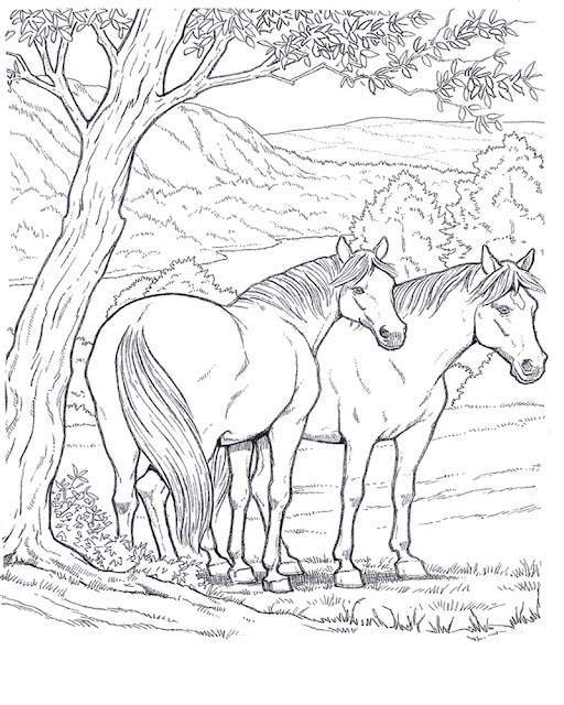 disegni da colorare di cavalli