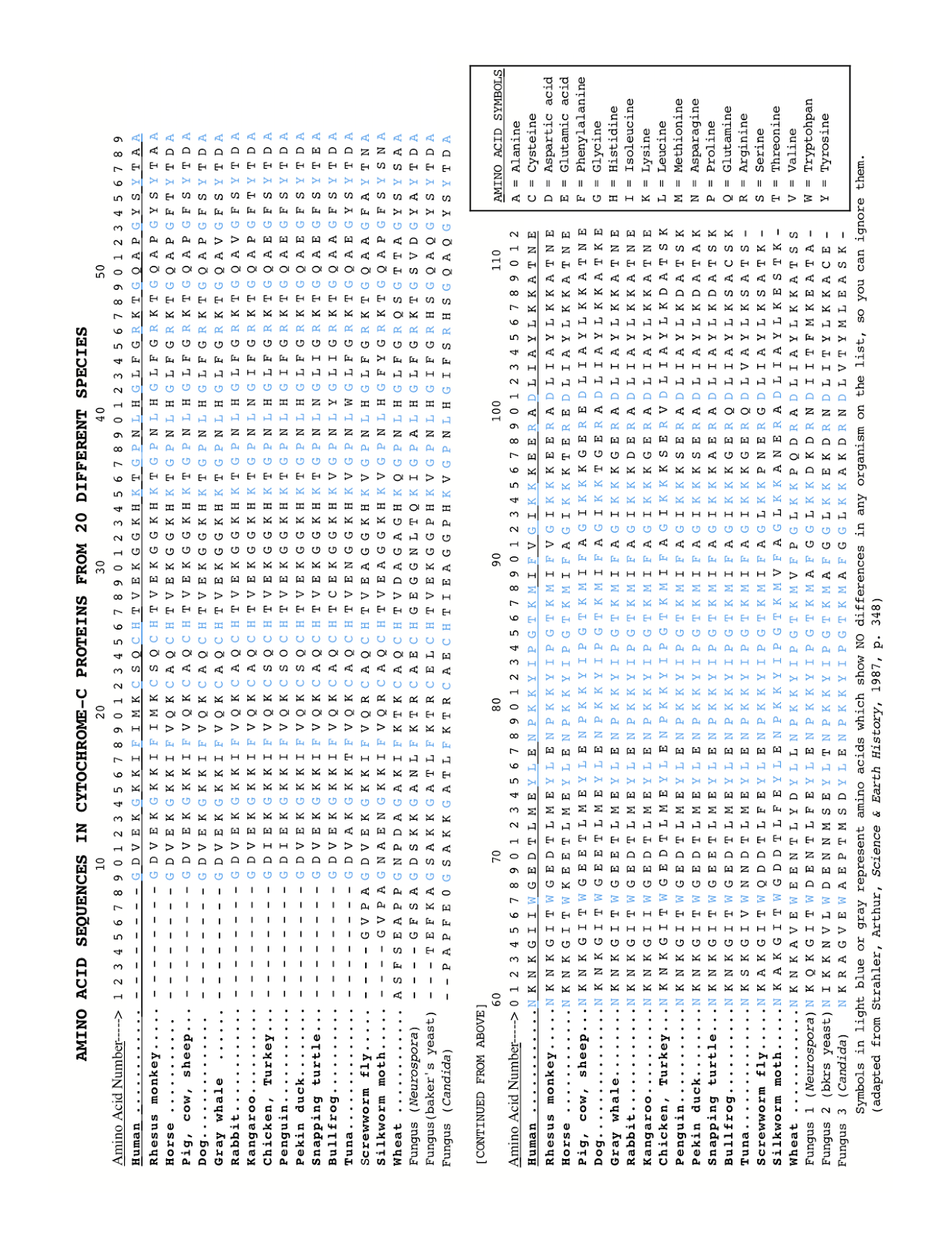 Amino Acids Sequence Chart