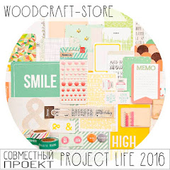 Project -life 2016