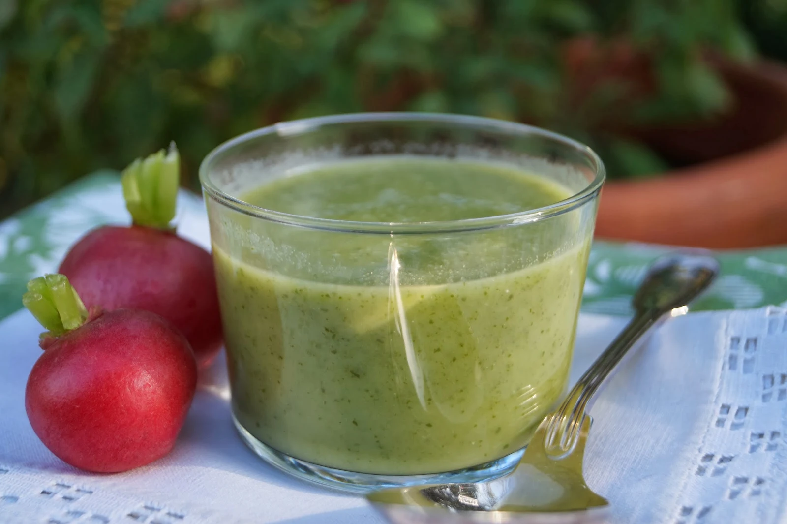 Soupe de fanes de radis