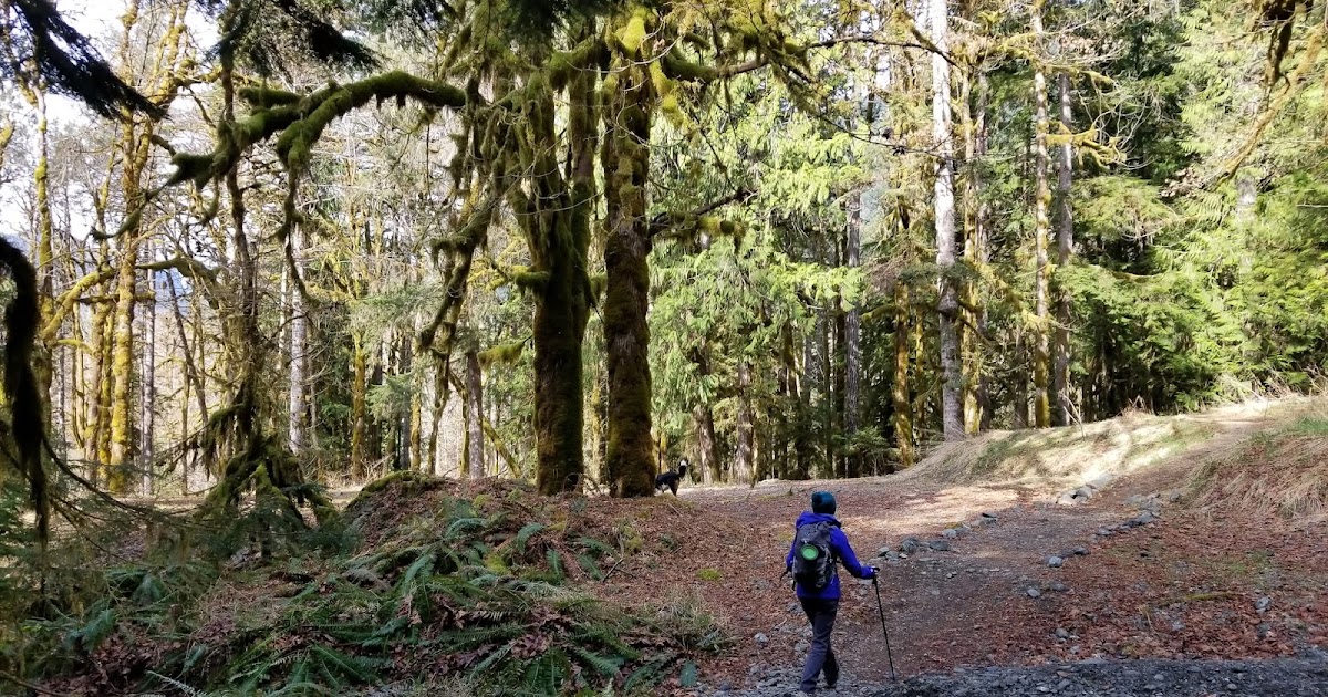 Take a Hike Lake Constance Trail, Olympic Peninsula, WA