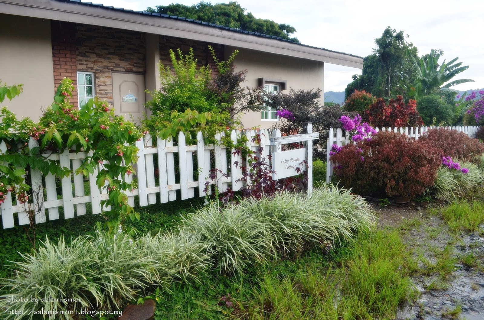 Cantiknya Pemandangan di Sabah Tea Garden Cottage (I) - Amie's Little