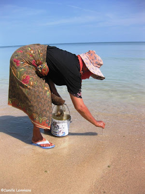 Catching fish bait on Thong Krut beach in Ban Saket