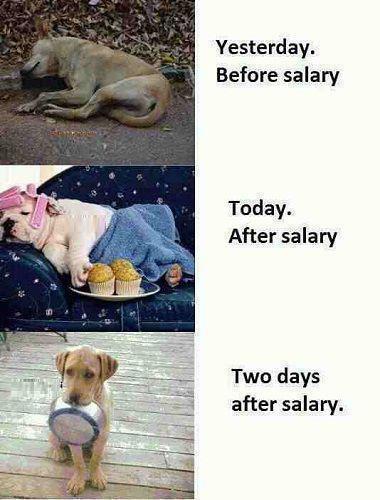 Funny Salary Pictures