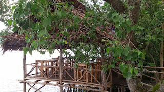 Taman Wisata Mangrove Bhadrika Bengkulu
