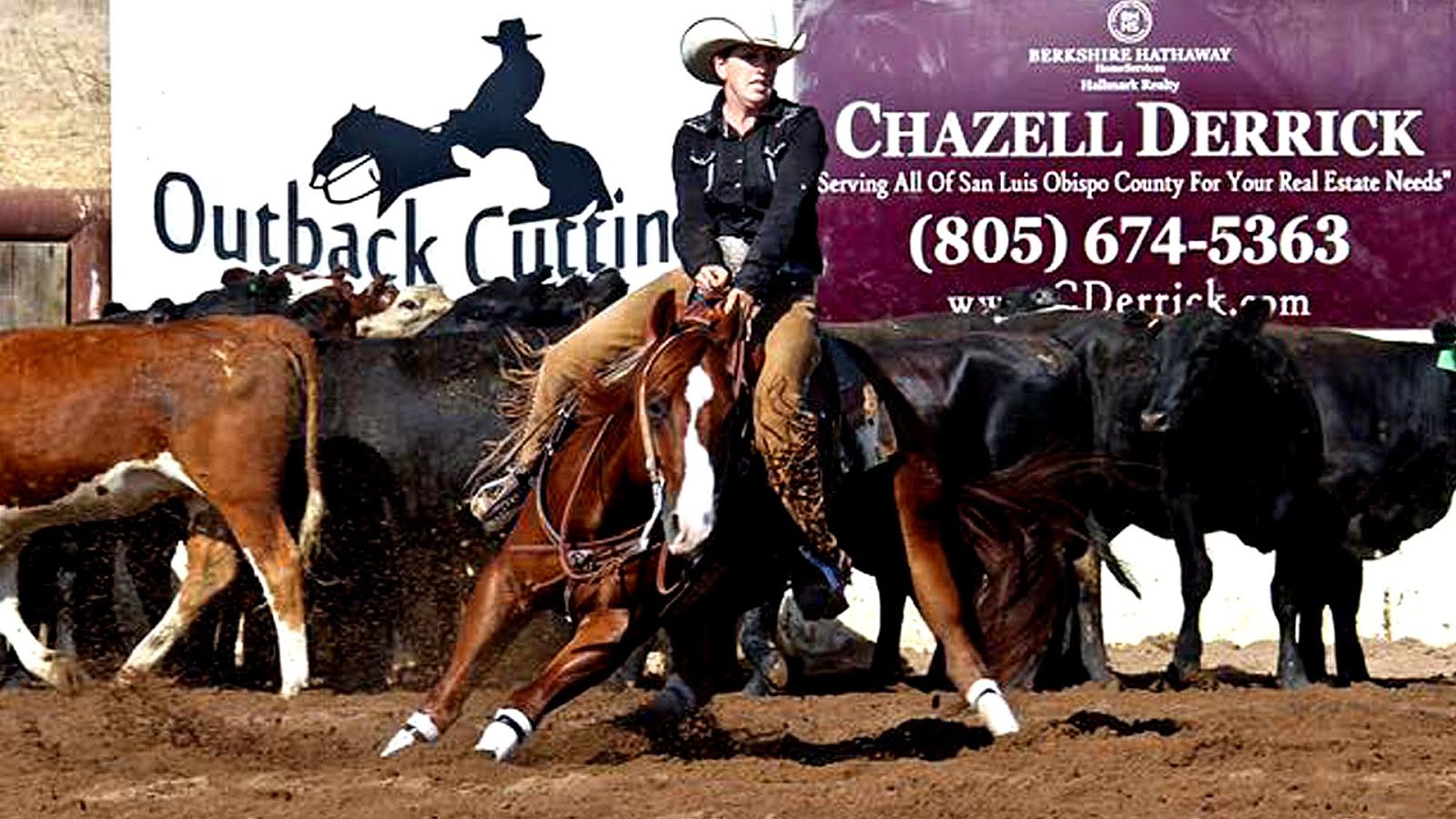 Horse Trailer Insurance Quote Horse Choices