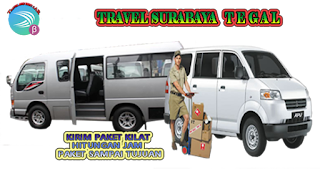TRAVEL SURABAYA TEGAL DAN TEGAL SURABAYA BAMBANG TRAVEL