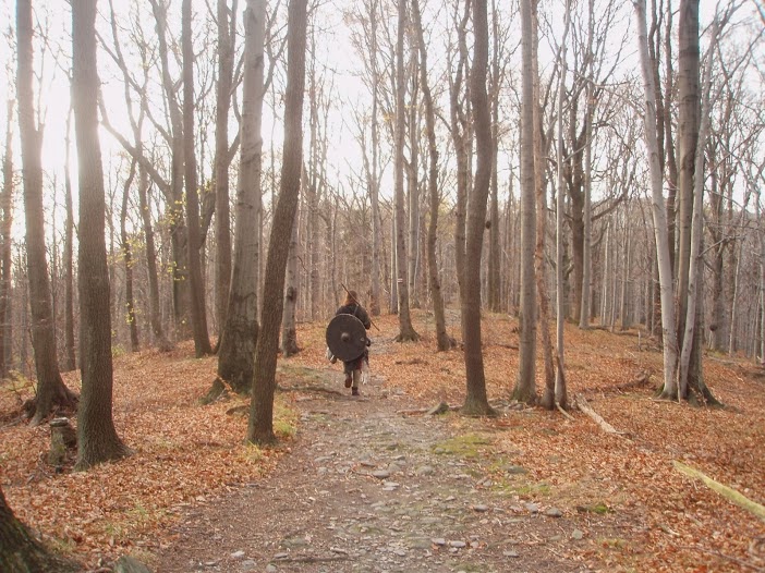 Bukowy Las: Limes Saxoniae