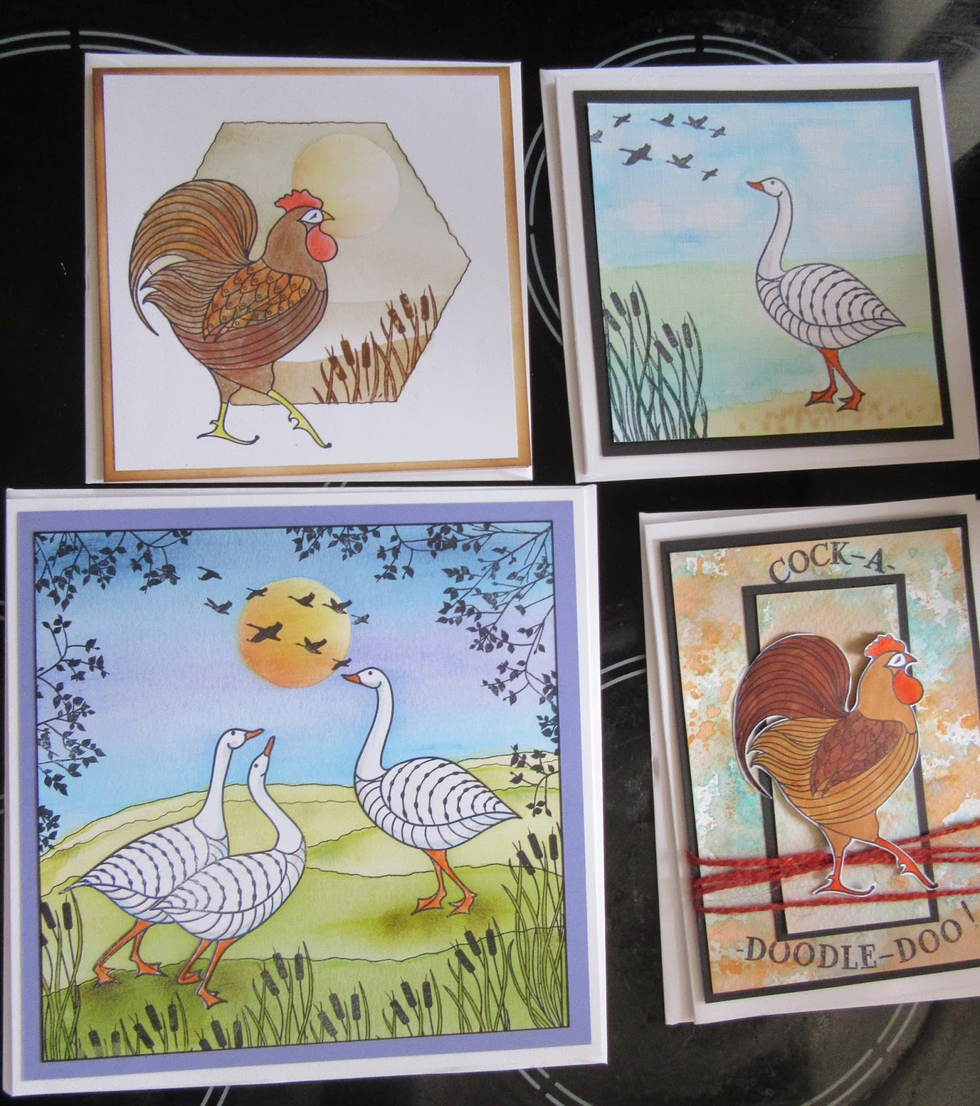 Fisher's Cards and Crafts: Bravo Jo Rice!!!