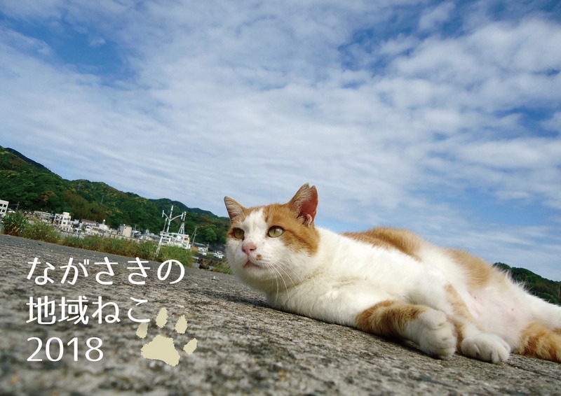 [2018k-P1.jpg]