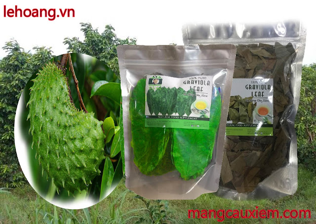 mang-cau-xiem%2B%252813%2529.jpg mang-cau-xiem%2B%252813%2529.jpg