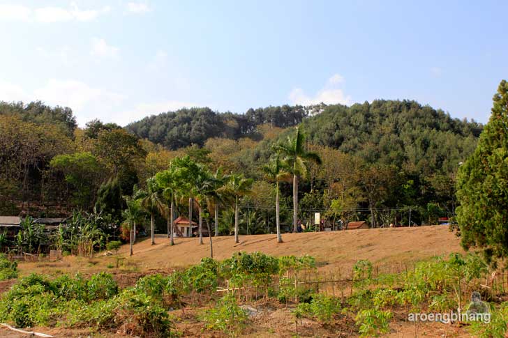 bendung gerak serayu kebasen banyumas