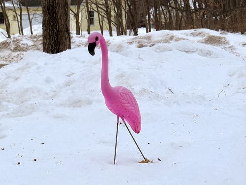 lawn flamingo