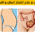 علاج انتفاخ البطن و المعدة علاج انتفاخ البطن و المعدة