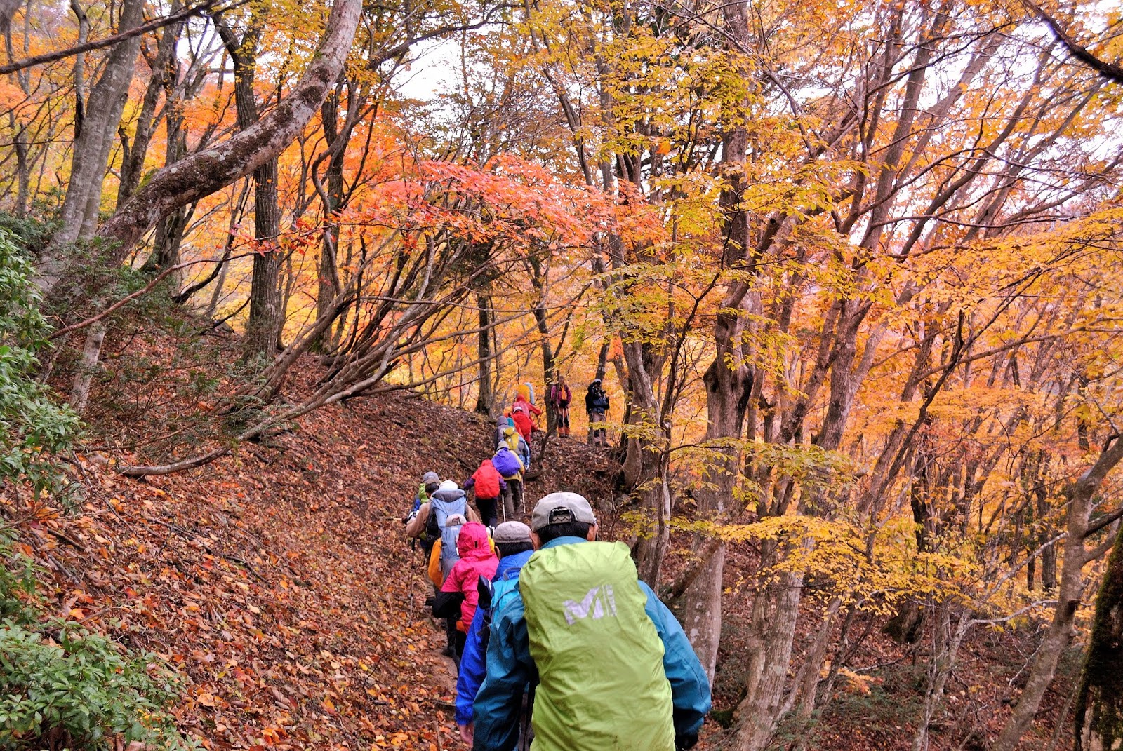 Hiking in Japan Mt. Bunagatake in Shiga Fall Foliage In Japan