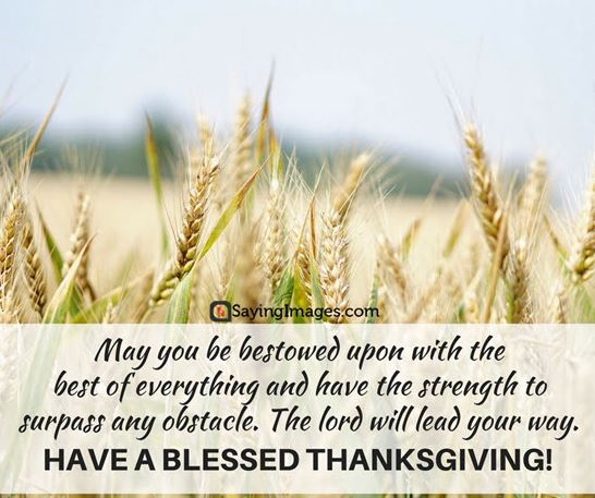 Thanksgiving-Wishes-Blessings Thanksgiving Wishes Blessings