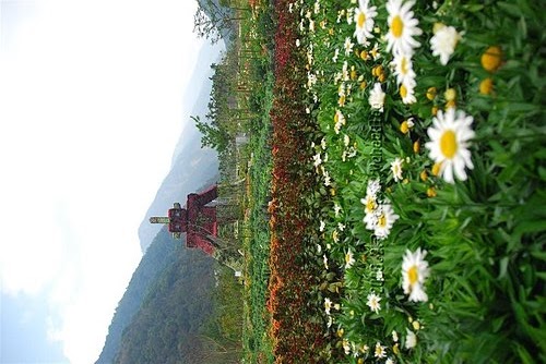 Nikon D80|Nikon單眼數位相機摸索學習