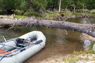 Bitterroot River levels in June 2012