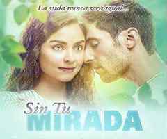 Capítulo 37 sin tu mirada Sin tu mirada capítulo 37 - las estrellas