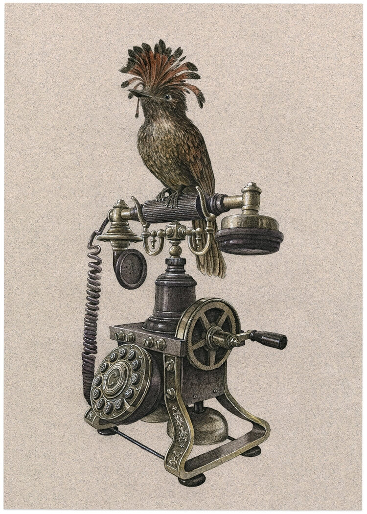 01-Telephone-Steeven-Salvat-Ink-Drawings-Birds-on-Vintage-Objects-and-Machines-www-designstack-co