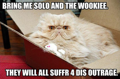 Hilarious LOLcats Seen On www.coolpicturegallery.us