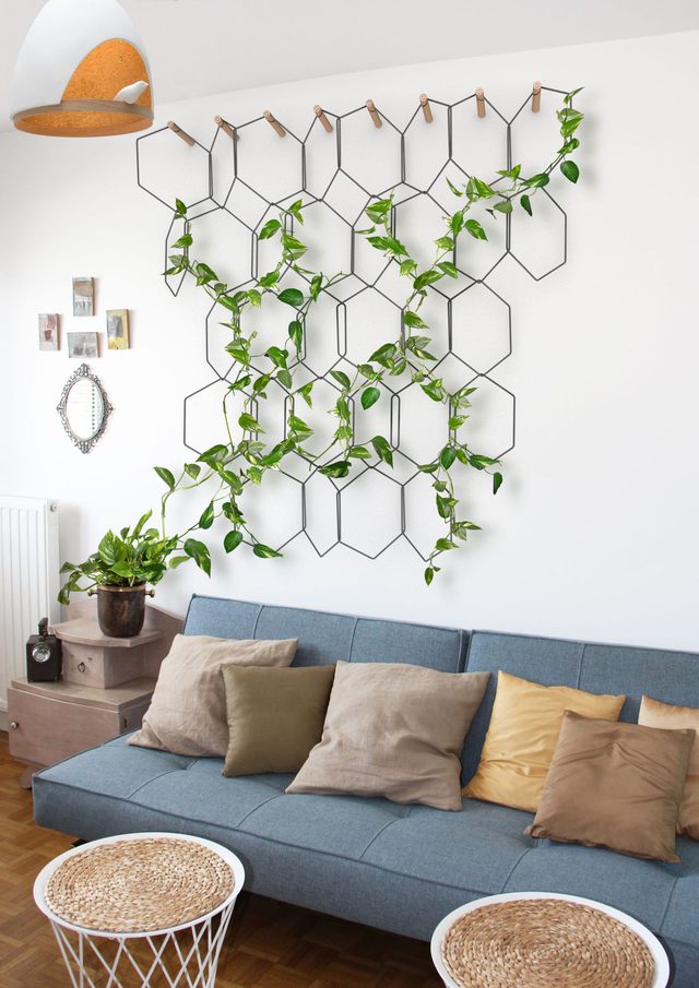 8 ideas del jardín 8 ideas del jardín