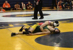 Men Wrestling Women: 2018