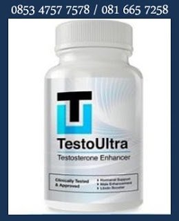 obat pembesar penis penirum Testo ultra obat pembesar penis penirum Testo ultra