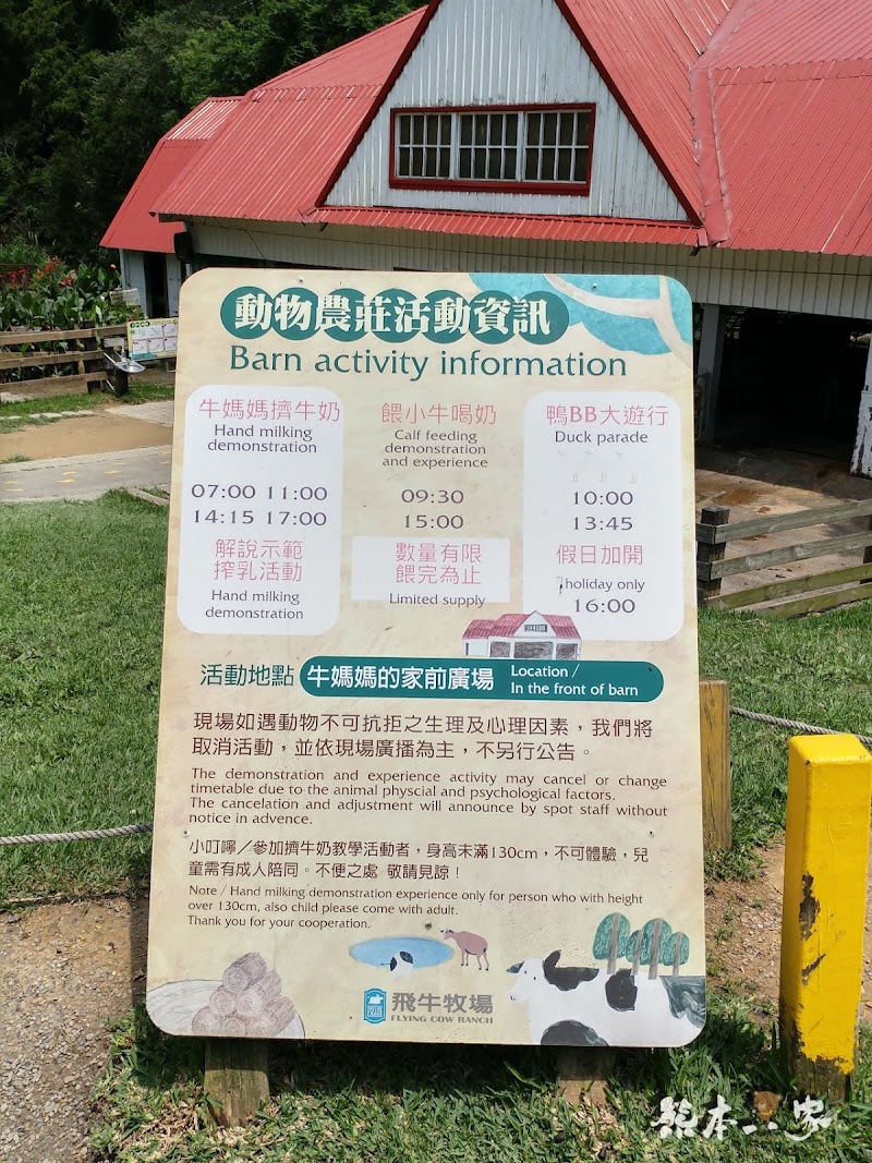 媲美清境青青草原|苗栗飛牛牧場|乳牛綿羊生態區~擠牛奶餵小羊小牛體驗