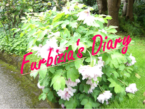 Daily Posts: Furbizia's Diary