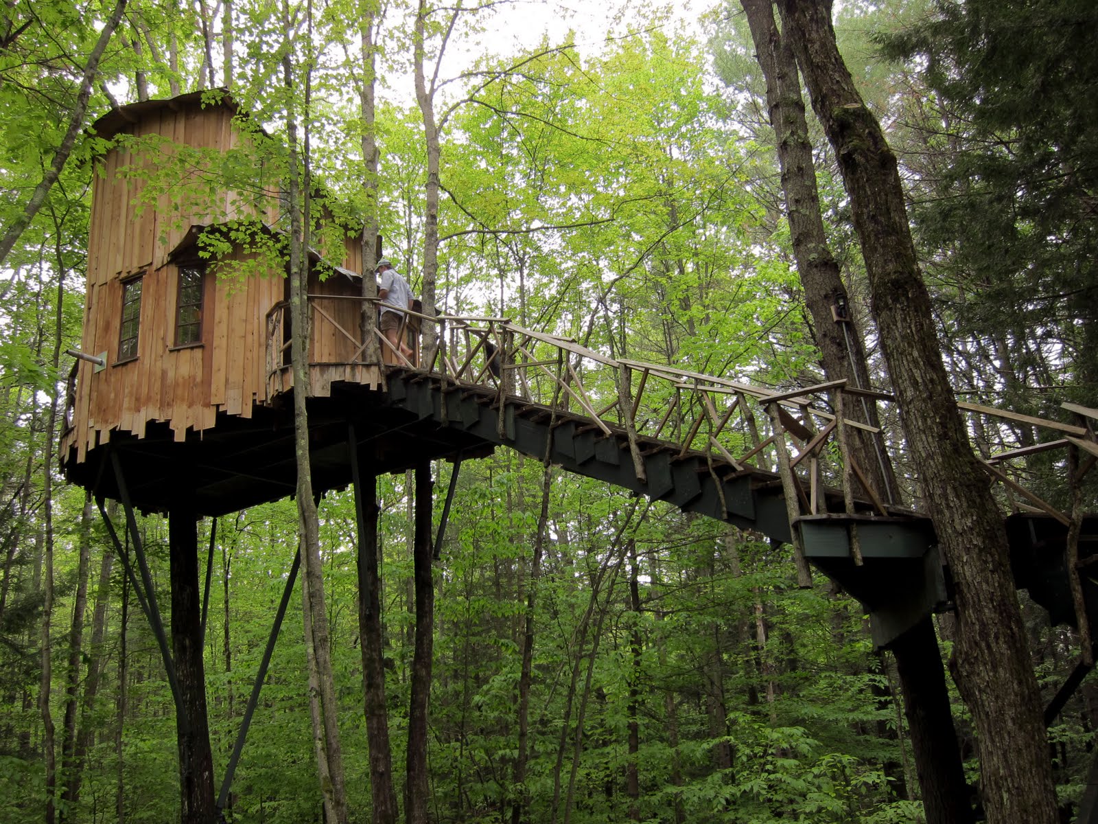 Marc Gabor New Hampshire Tree House