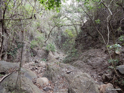 Cañón el Mante por arriba de la cascada del mismo nombre