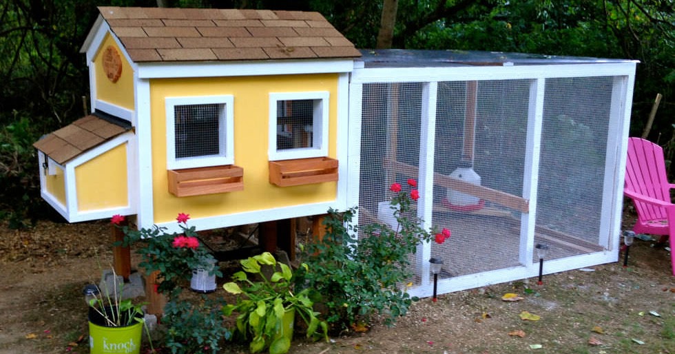 how-to-build-a-chicken-coop-build-your-own-chicken-coop-frequency