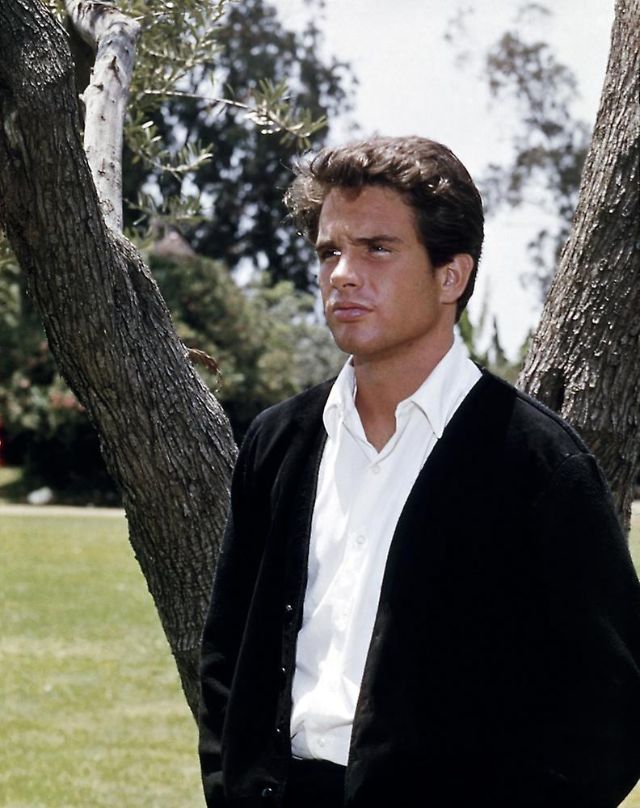 33 gorgeous photos warren beatty 1950s 1960s 33 gorgeous photos warren beatty 1950s 1960s