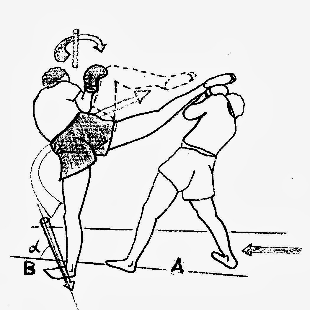 Sydney Fitness Blogger