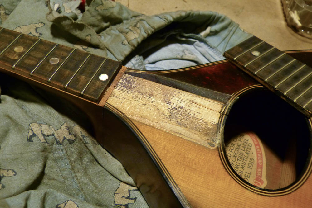 Regal/Washburn Mandolin Neck Joint