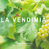 La vendimia